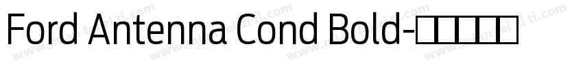 Ford Antenna Cond Bold字体转换